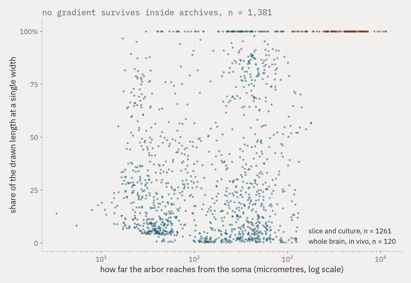 A scatter plot with reach from the soma on a logarithmic horizontal axis and the share of drawn length at a single width on the vertical axis. Slice and culture reconstructions cluster at short reach and low share; whole-brain reconstructions cluster at long reach and a share near one hundred per cent.
