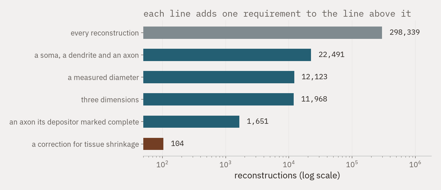 A descending bar chart on a logarithmic axis. Every reconstruction, then the count remaining after each of five requirements is added: all three parts, a measured diameter, three dimensions, a complete axon, and a shrinkage correction.
